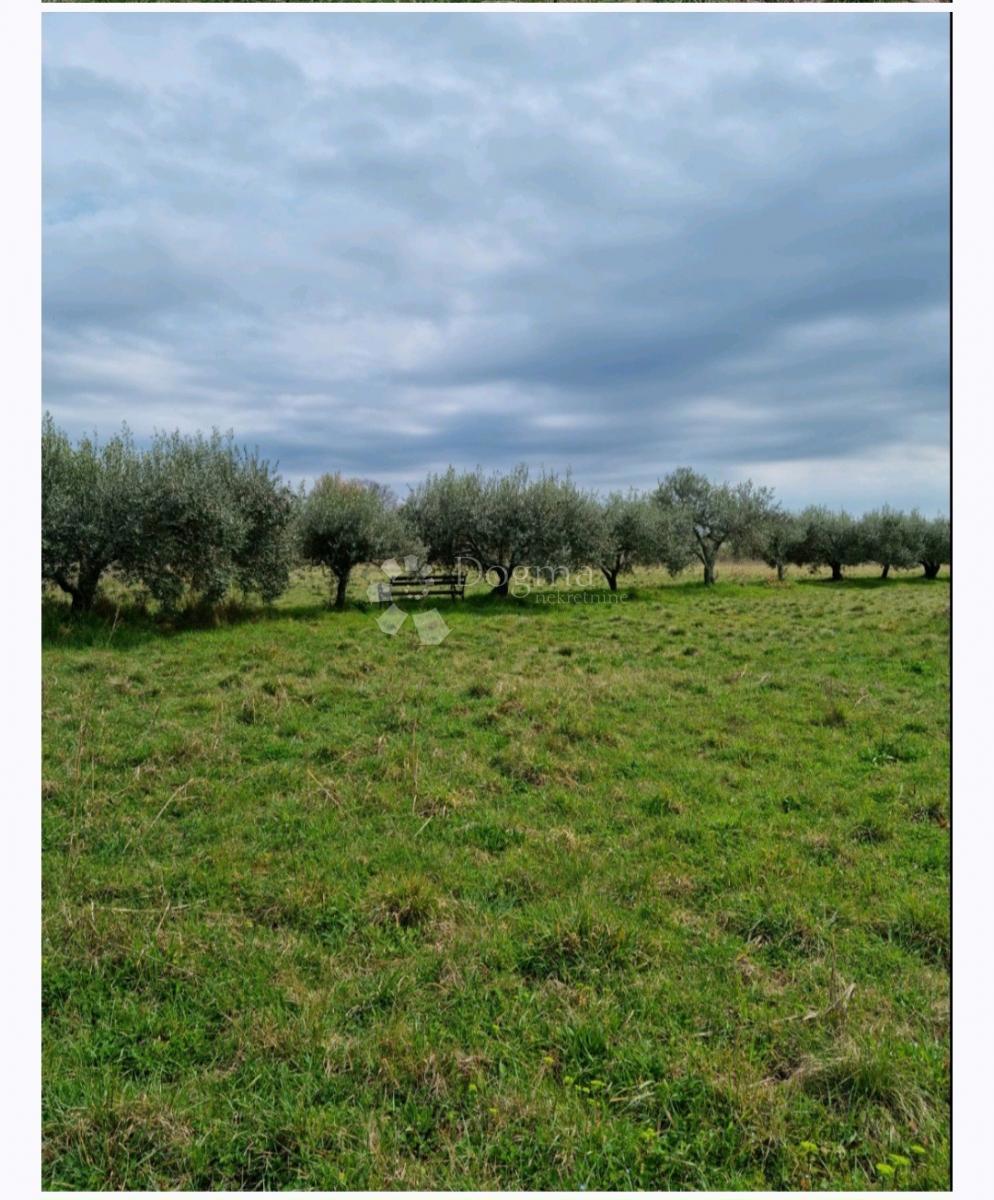 Terreno edificabile Murine, Umag, 600m2