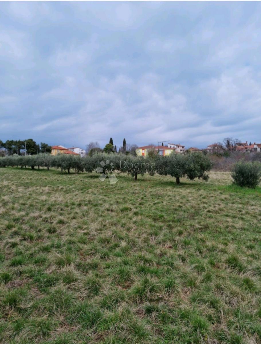 Terreno edificabile Murine, Umag, 600m2