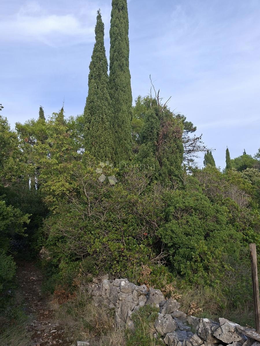 Terreno agricolo Močići, Konavle, 7.214m2