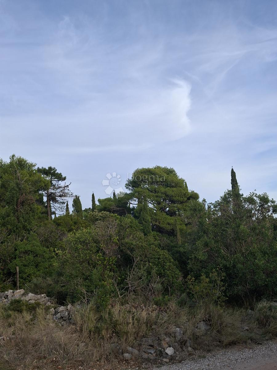Terreno agricolo Močići, Konavle, 7.214m2