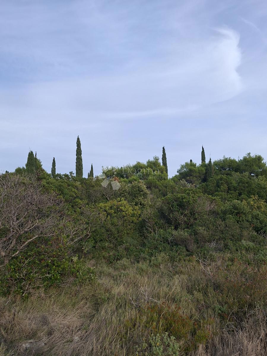 Terreno agricolo Močići, Konavle, 7.214m2