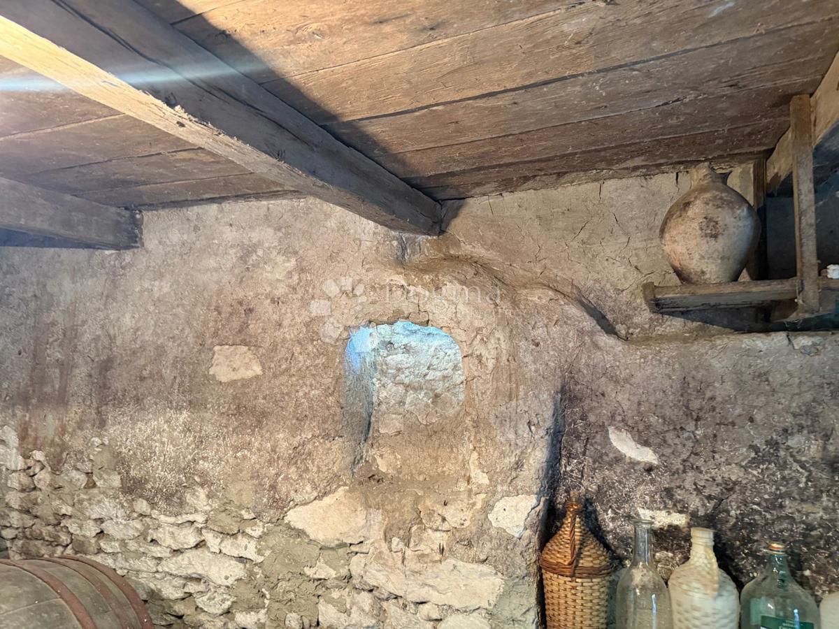 Casa Natkrižovljan, Cestica, 111m2