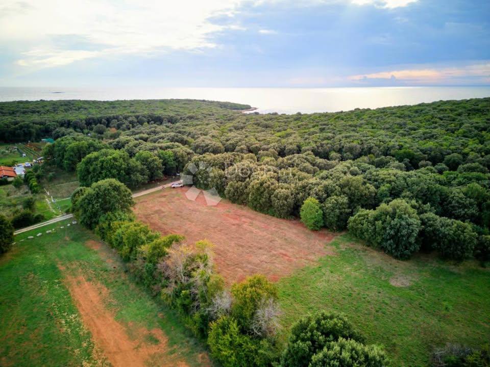 AMPIO TERRENO AGRICOLO - 300 M DAL MARE