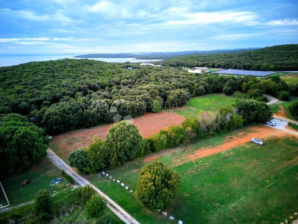 AMPIO TERRENO AGRICOLO - 300 M DAL MARE