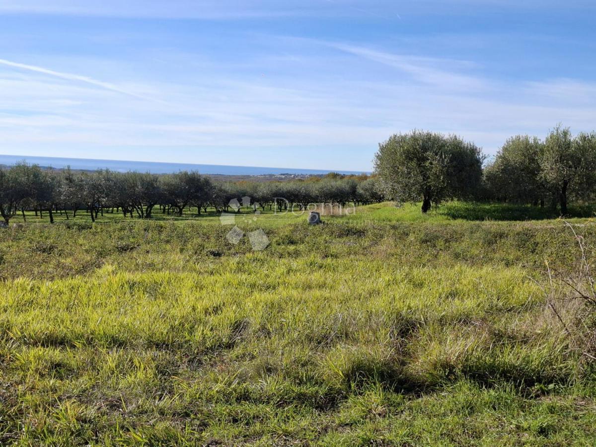 Terreno edificabile Poreč, 751m2