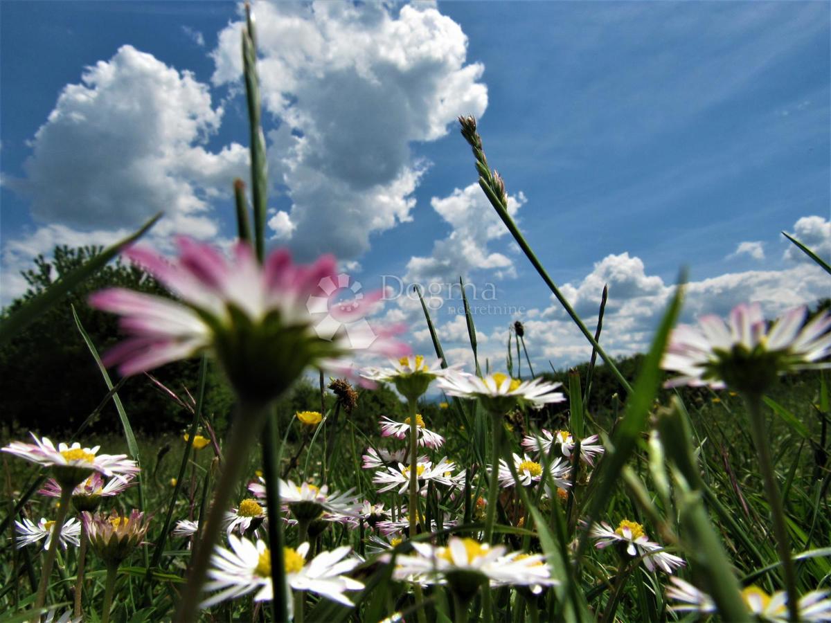 Terreno agricolo Kruge, Donji Lapac, 16.699m2