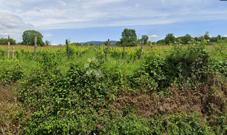 Terreno edificabile Nedešćina, Sveta Nedelja, 4.373m2