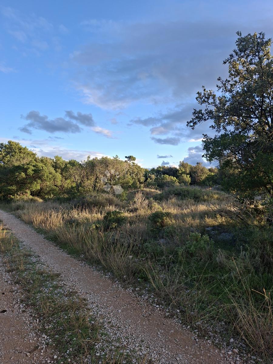 Terreno agricolo Močići, Konavle, 10.477m2