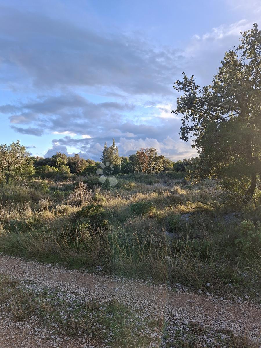 Terreno agricolo Močići, Konavle, 10.477m2