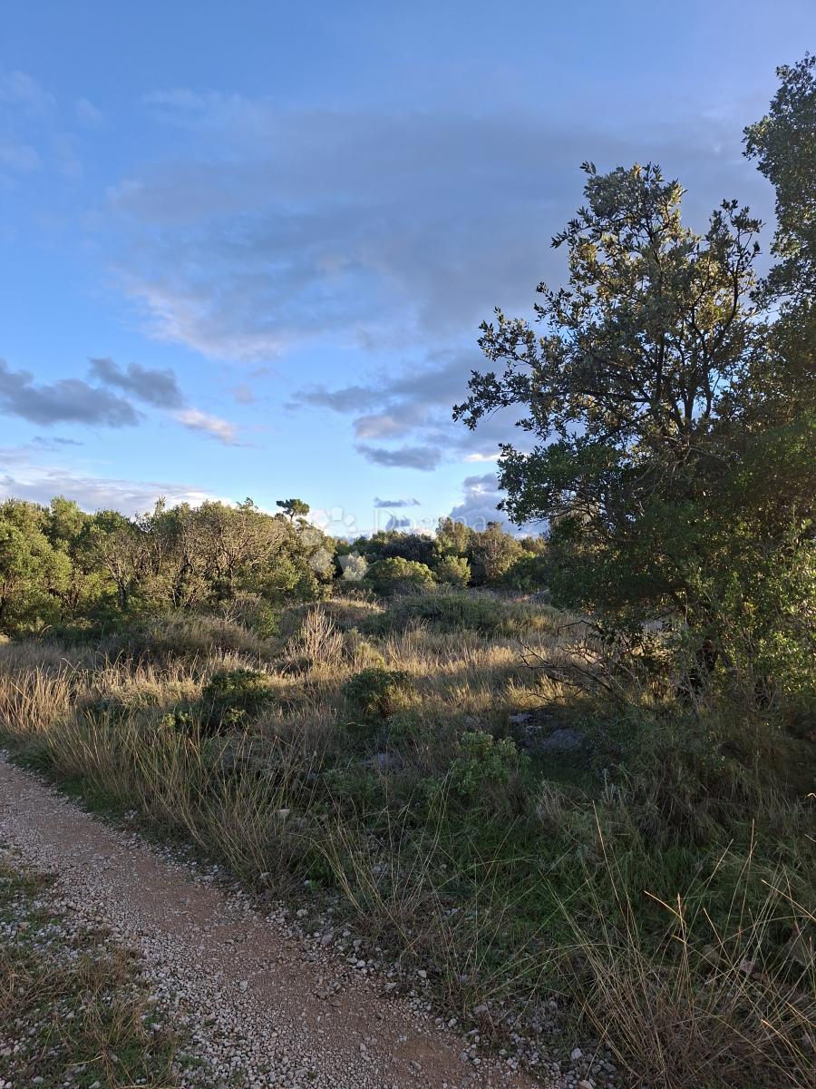 Terreno agricolo Močići, Konavle, 10.477m2