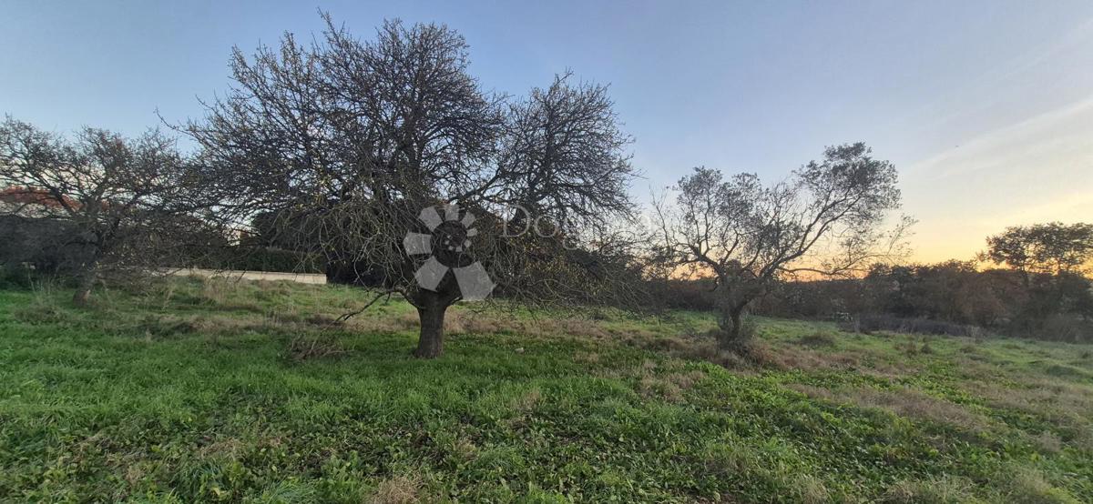 Terreno edificabile a 1 km dal mare 