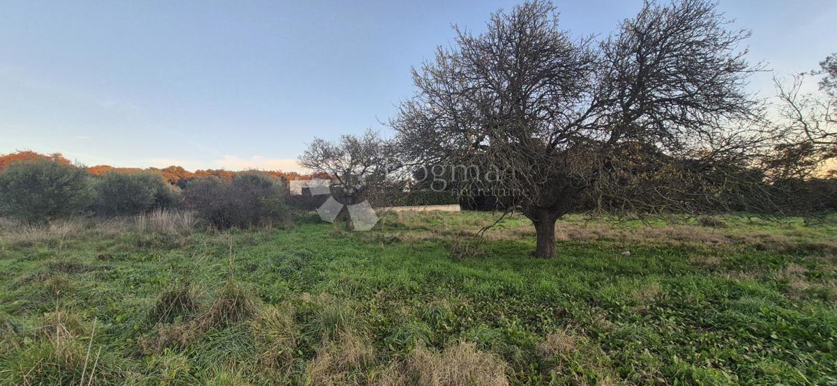 Terreno edificabile a 1 km dal mare 