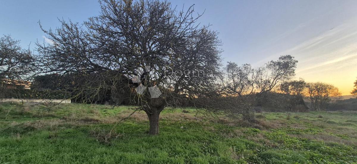 Terreno edificabile a 1 km dal mare 