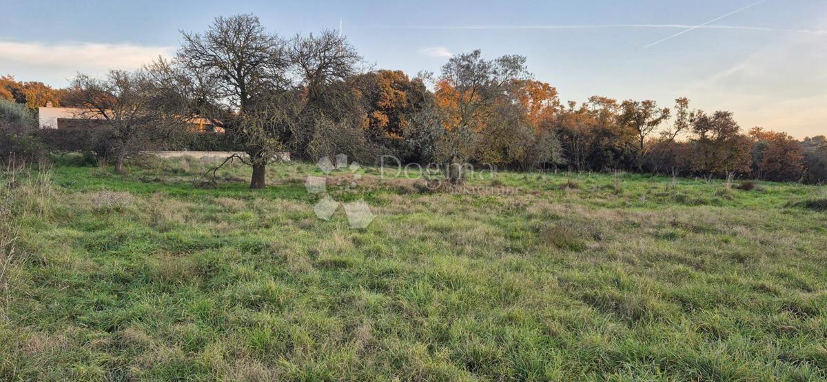 Terreno edificabile a 1 km dal mare 