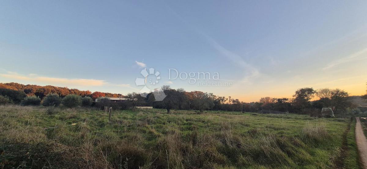 Terreno edificabile a 1 km dal mare 