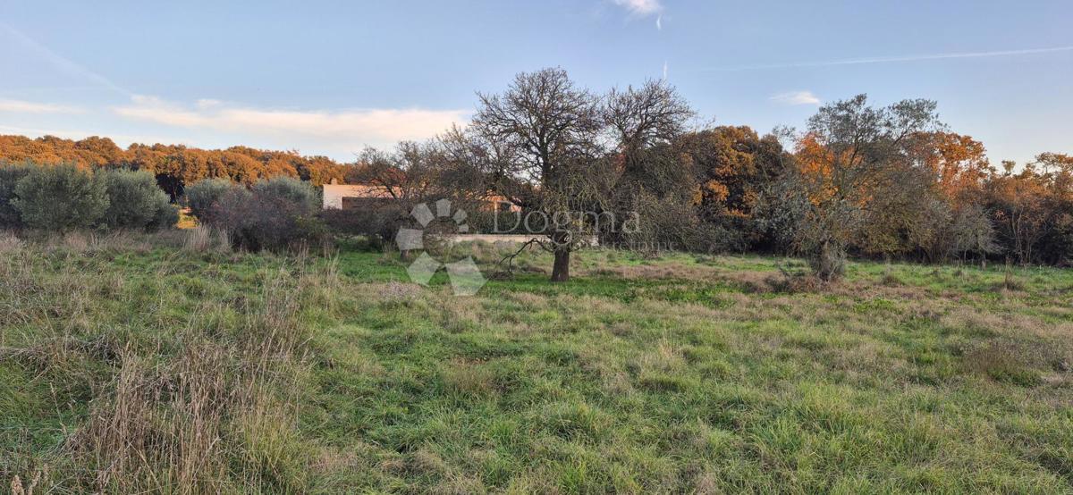 Terreno edificabile a 1 km dal mare 