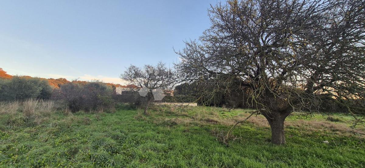 Terreno edificabile a 1 km dal mare 