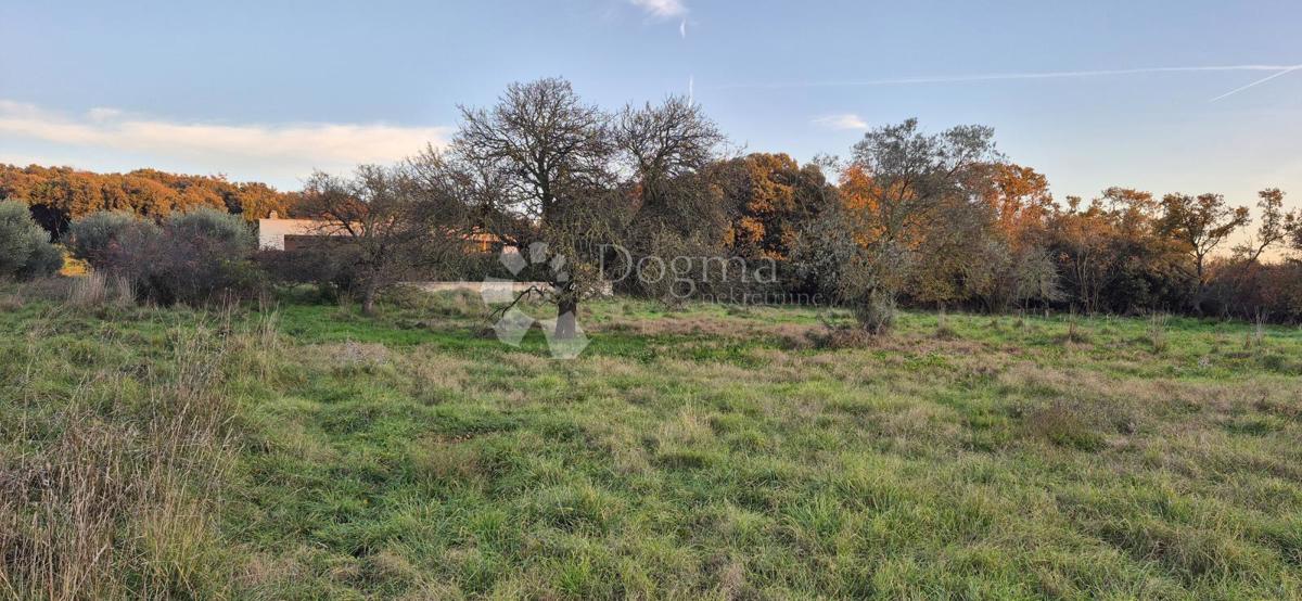 Terreno edificabile a 1 km dal mare 