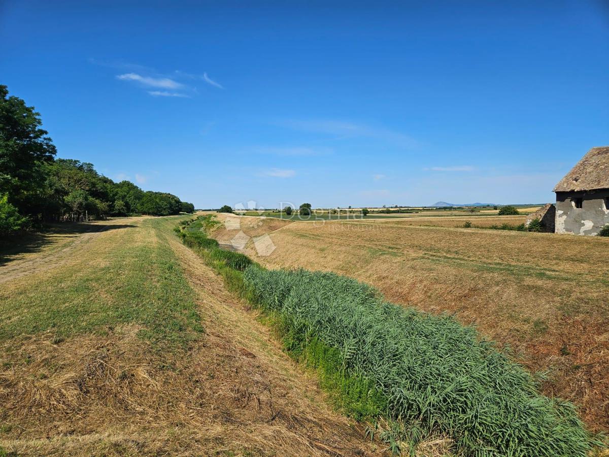 Locale commerciale Branjina, Popovac, 273m2