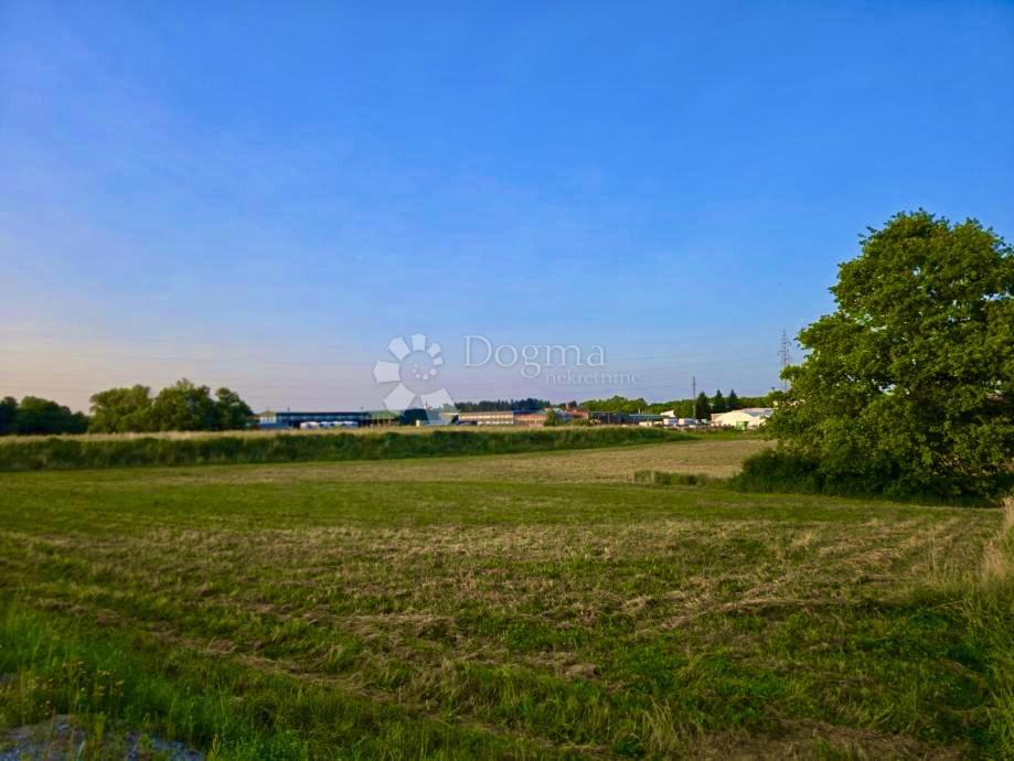 Terreno edificabile Donji Prnjarovec, Križ, 15.440m2