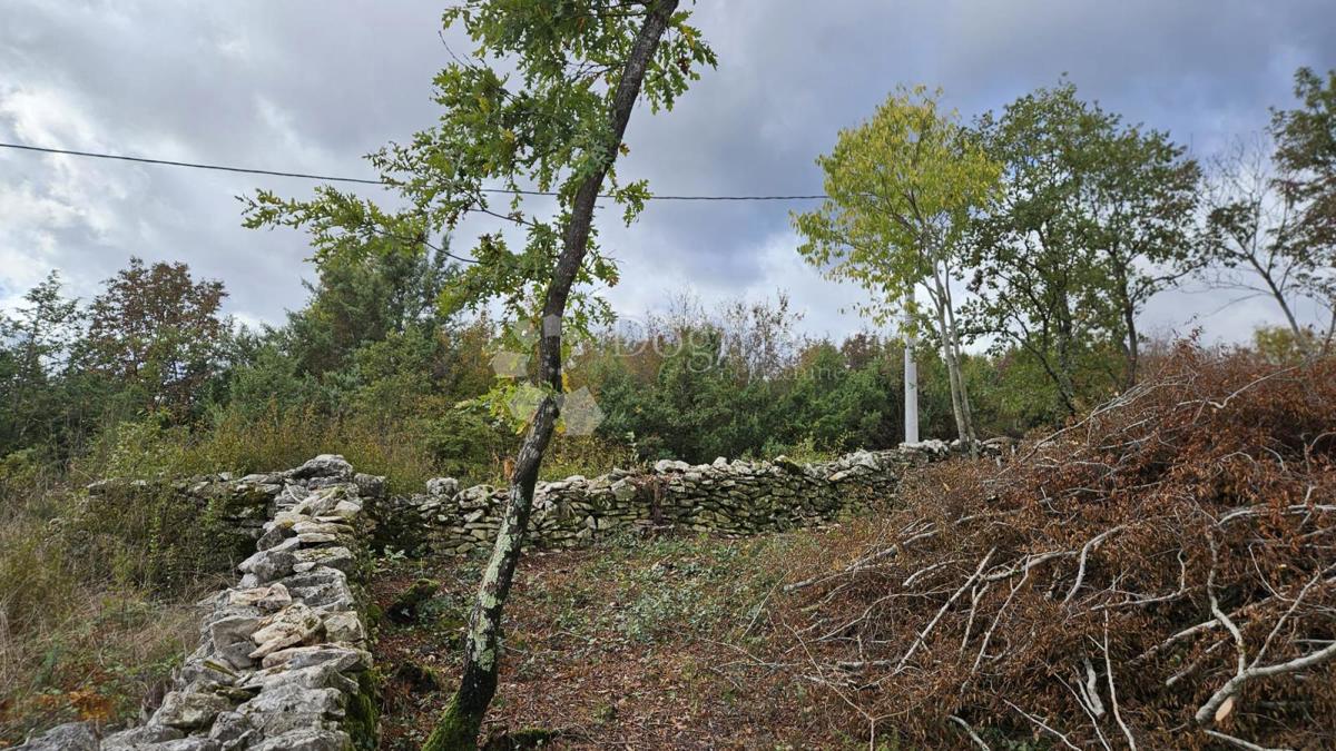 Terreno edificabile Barban, 3.445m2