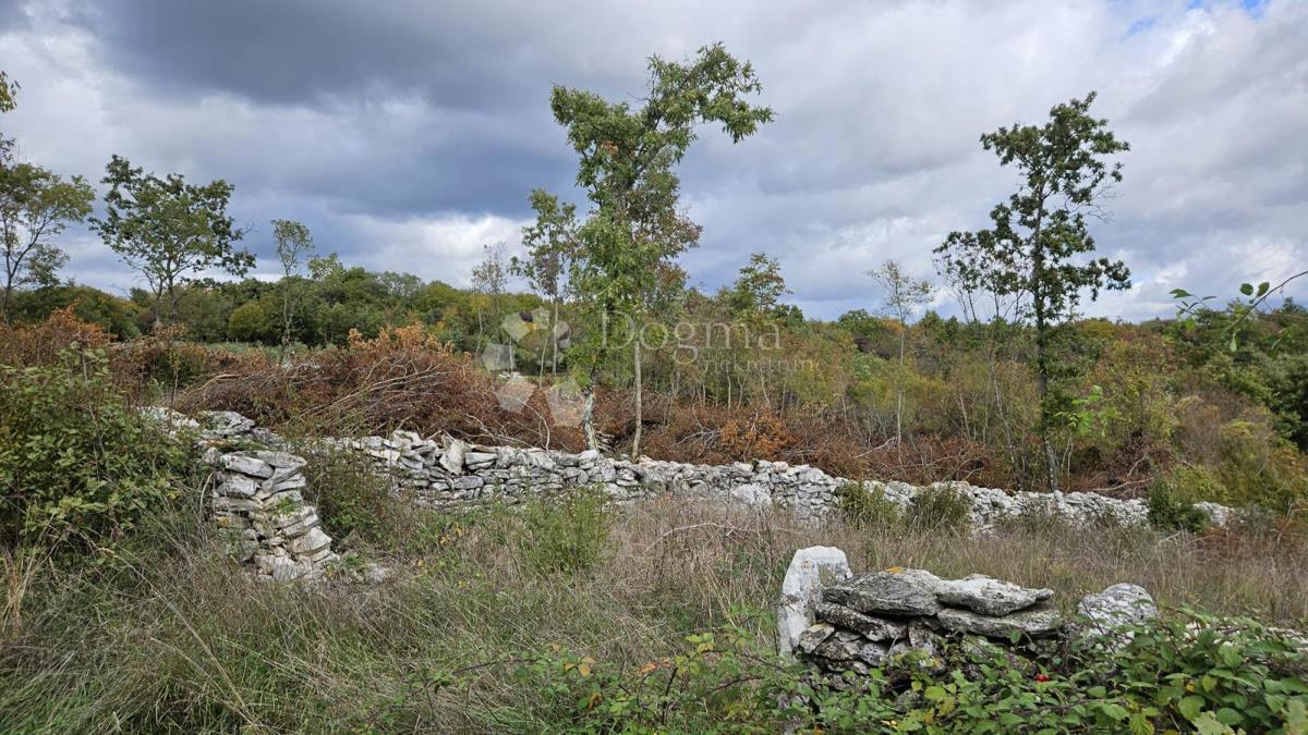 Terreno edificabile Barban, 3.445m2