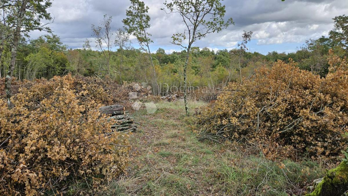 Terreno edificabile Barban, 3.445m2