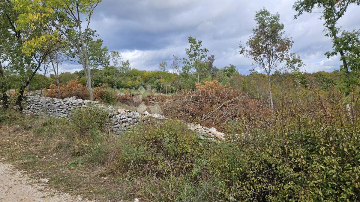 Terreno edificabile Barban, 3.445m2