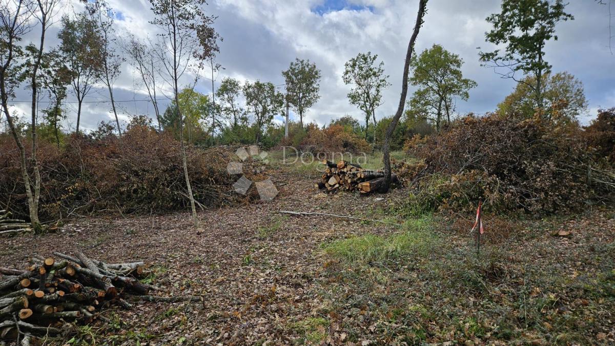 Terreno edificabile Barban, 3.445m2