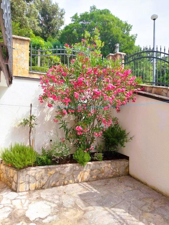 Casa Posedarje, 360m2