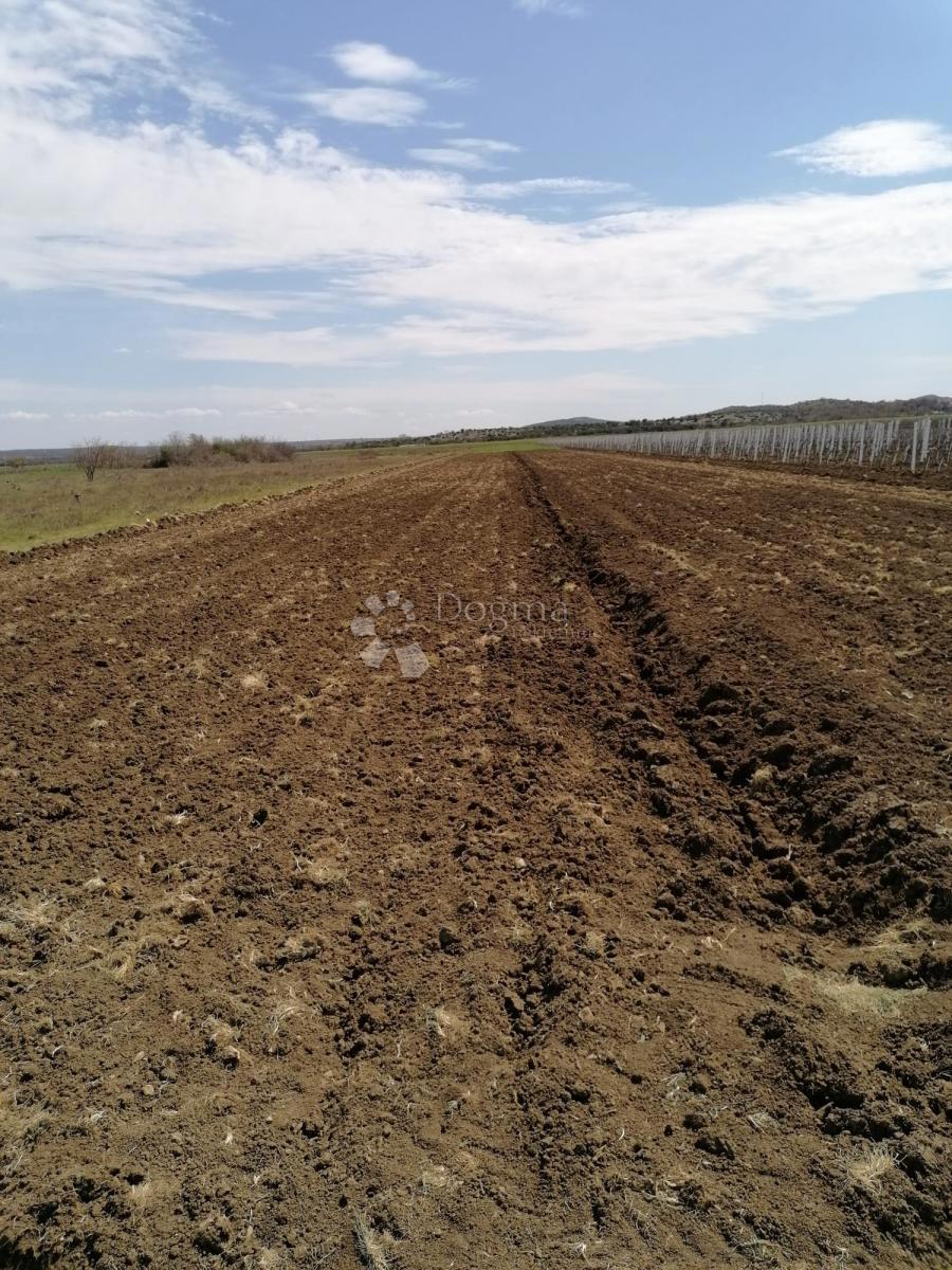 Terreno agricolo Nadin, Benkovac, 16.094m2