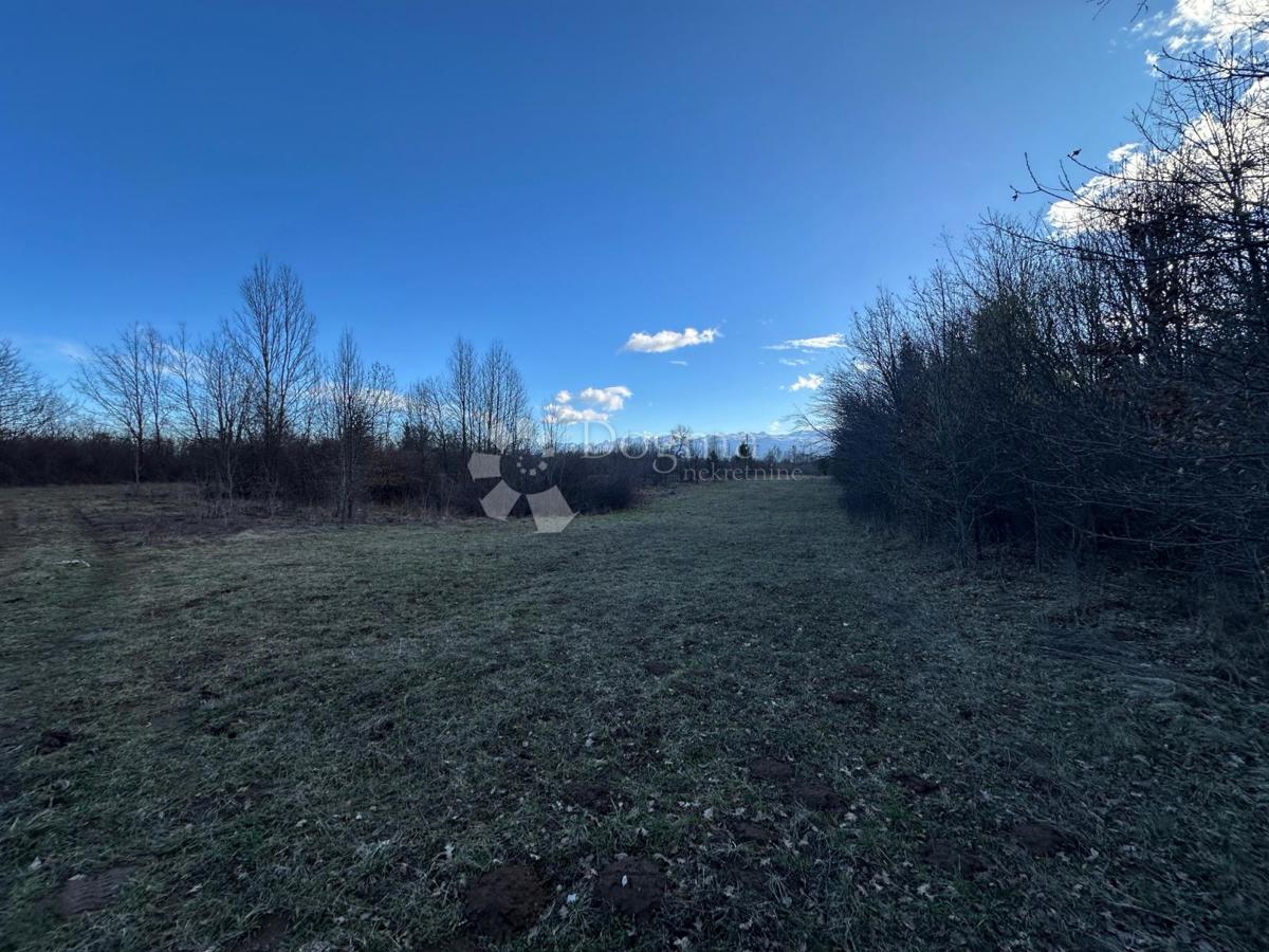 Casa Barlete, Gospić - Okolica, 338m2