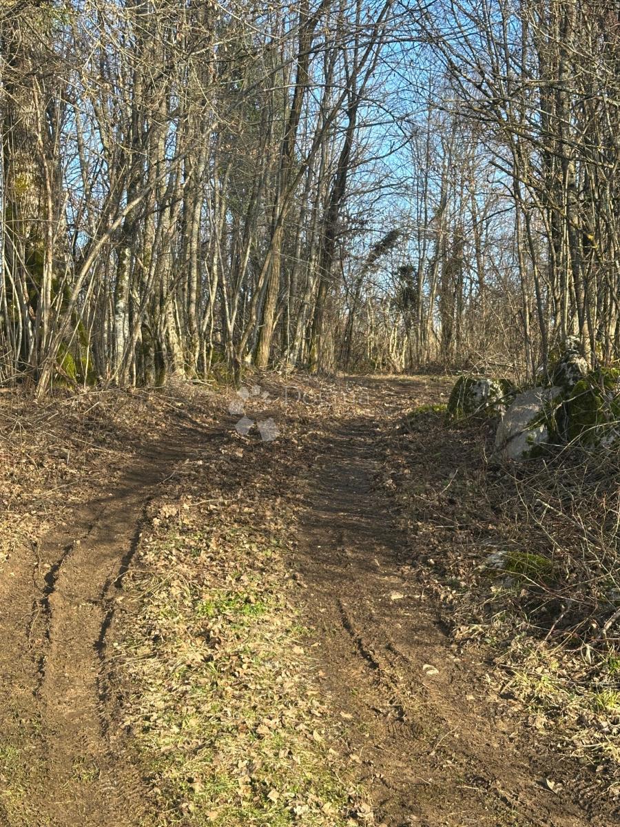 Casa Barlete, Gospić - Okolica, 338m2