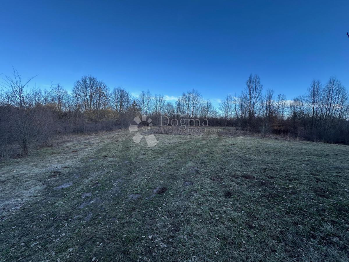 Casa Barlete, Gospić - Okolica, 338m2