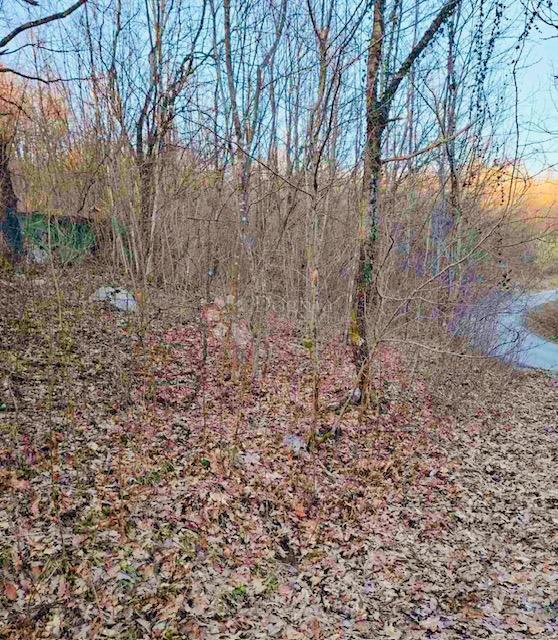 Terreno agricolo Popovo Selo, Ogulin, 7.513m2