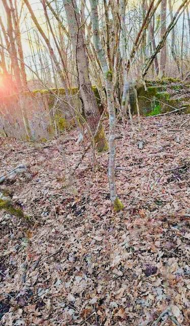 Terreno agricolo Popovo Selo, Ogulin, 7.513m2