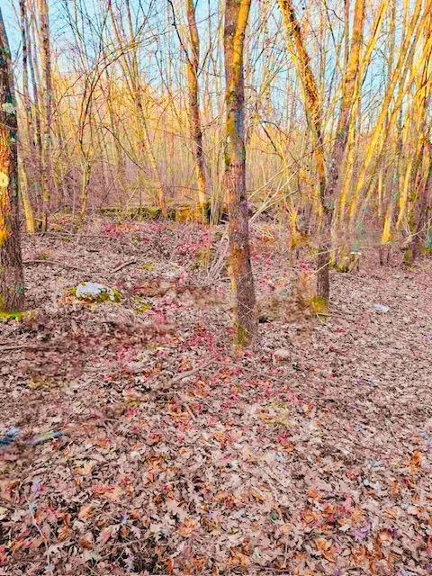 Terreno agricolo Popovo Selo, Ogulin, 7.513m2