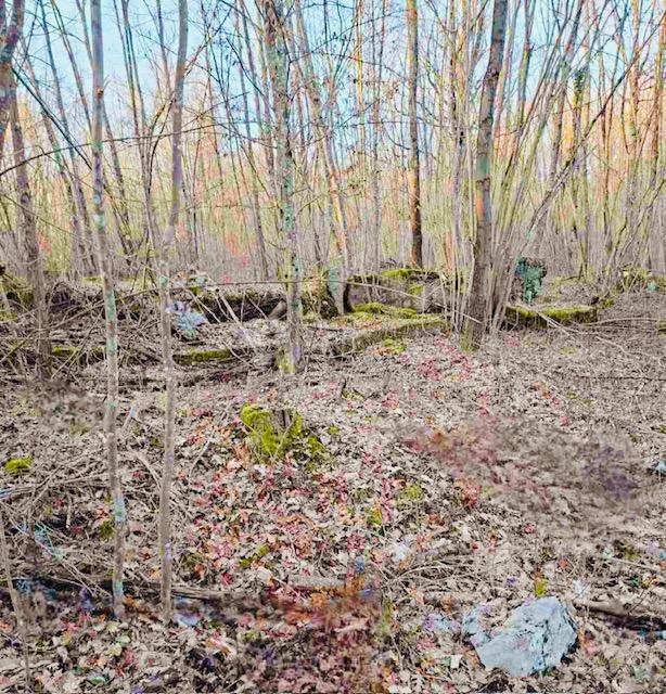 Terreno agricolo Popovo Selo, Ogulin, 7.513m2