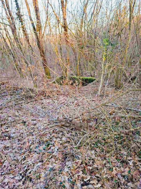 Terreno agricolo Popovo Selo, Ogulin, 7.513m2