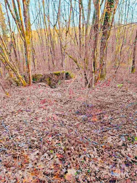 Terreno agricolo Popovo Selo, Ogulin, 7.513m2