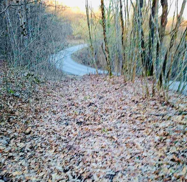 Terreno agricolo Popovo Selo, Ogulin, 7.513m2