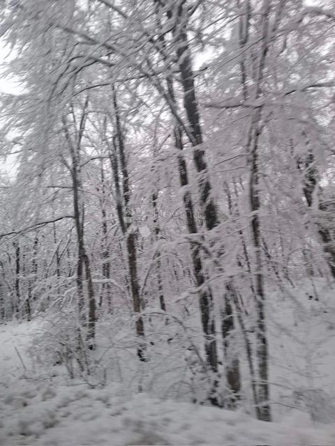 Terreno agricolo Popovo Selo, Ogulin, 7.513m2