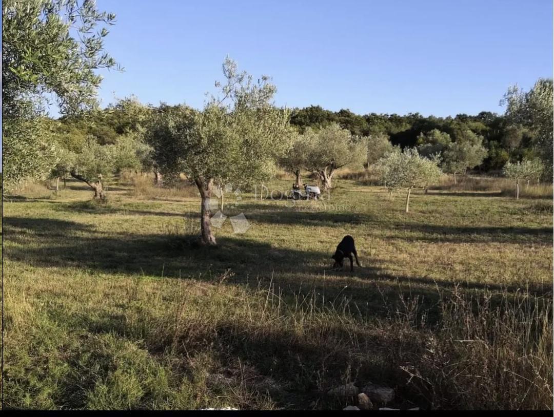 Terreno agricolo Rovinjsko Selo, Rovinj, 7.511m2