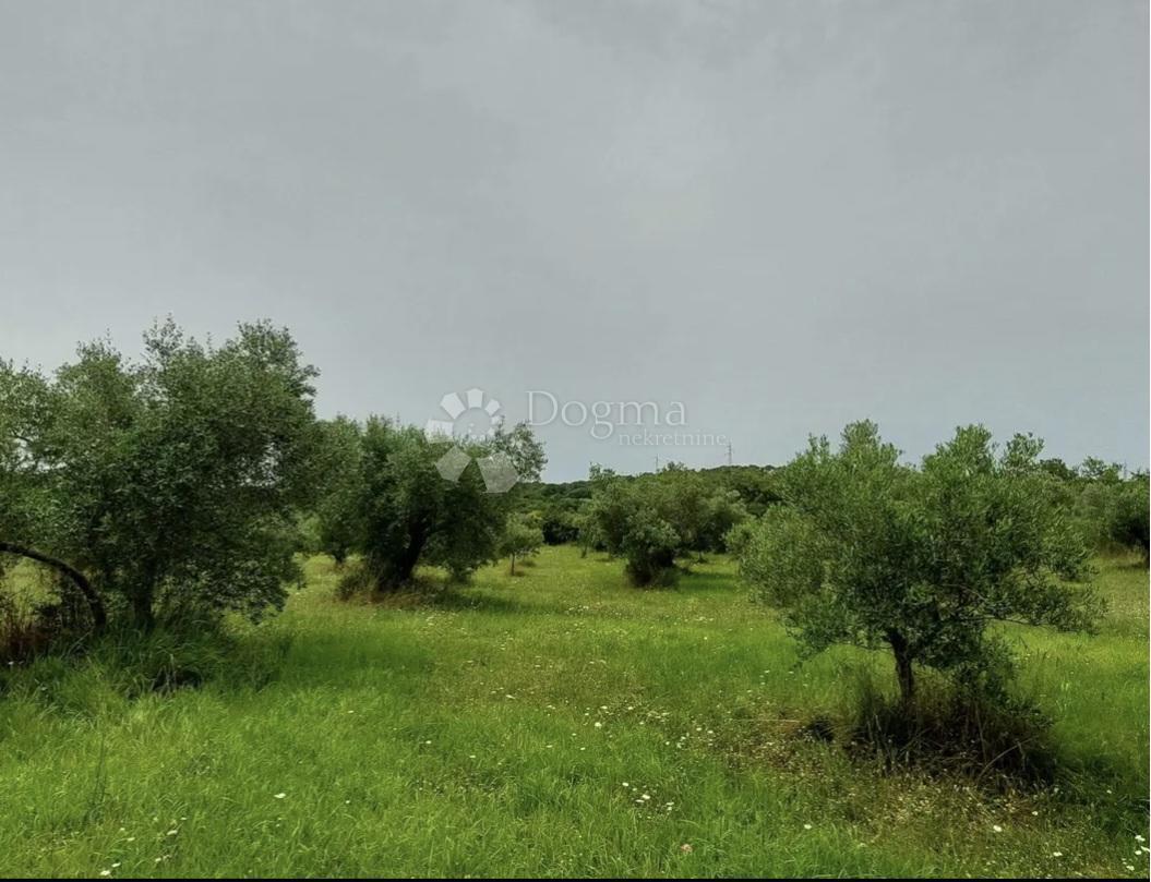 Terreno agricolo Rovinjsko Selo, Rovinj, 7.511m2
