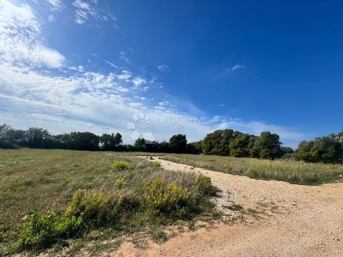 Terreno edificabile Vodnjan, 886m2