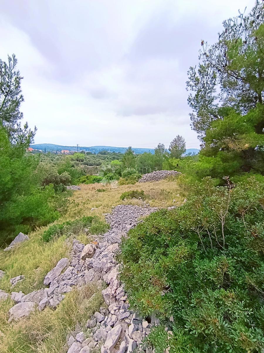 Terreno agricolo Milna, 9.608m2