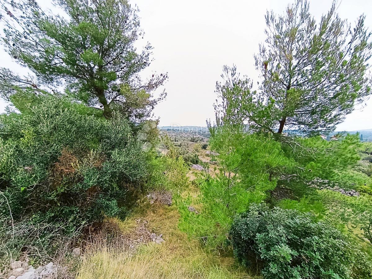 Terreno agricolo Milna, 9.608m2