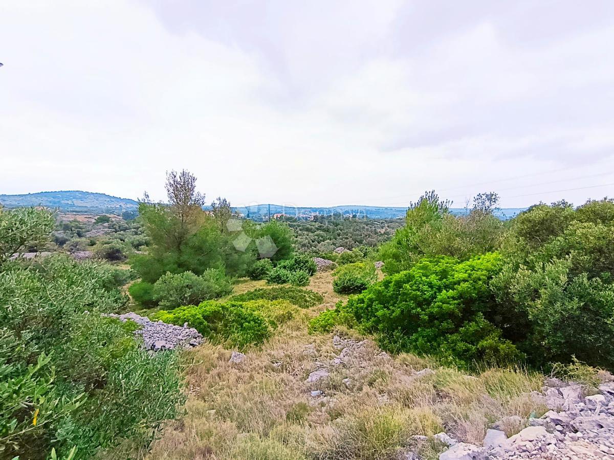 Terreno agricolo Milna, 9.608m2