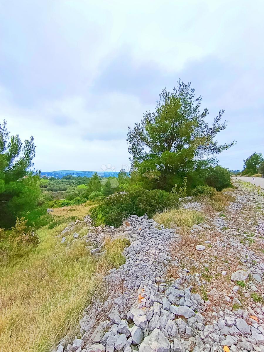 Terreno agricolo Milna, 9.608m2