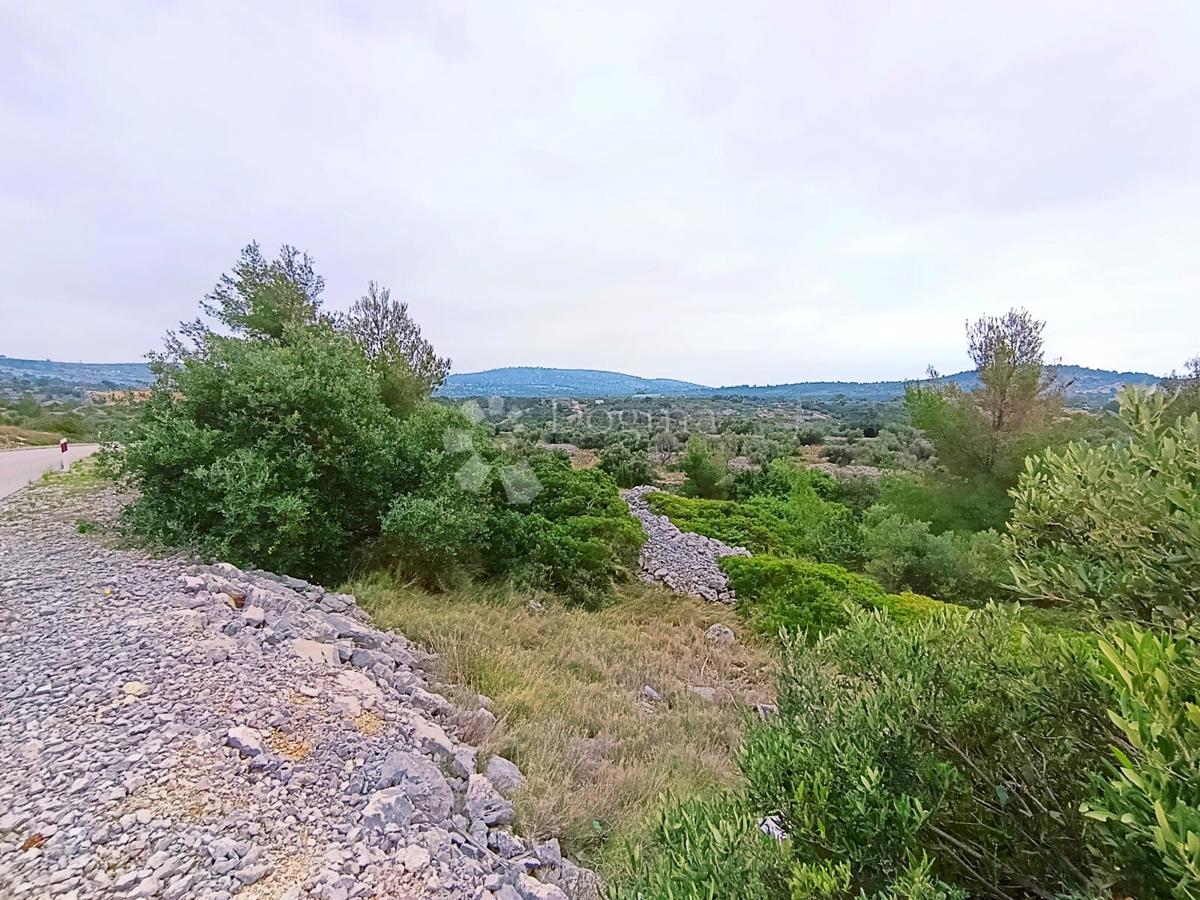 Terreno agricolo Milna, 9.608m2